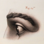 Jean Jacques Lequeu, Etudes de l'oeil, 1792