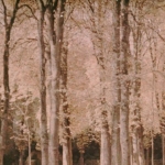 Parc du Château de Versailles, 1907-1920